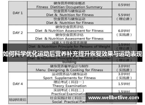 如何科学优化运动后营养补充提升恢复效果与运动表现