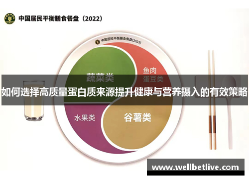 如何选择高质量蛋白质来源提升健康与营养摄入的有效策略